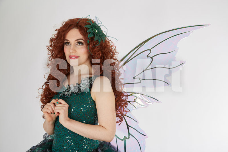 Fairy Girl