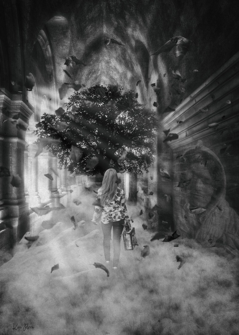 November 2021 Photoshop Challenge Results