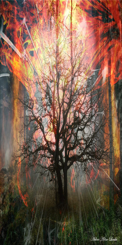 Fire by Helen Anne Lemke