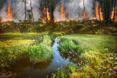Fire on A Sunny Day by Linda Everhard