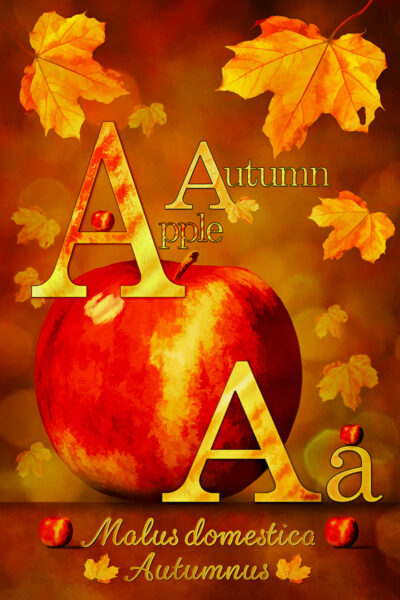 A Is for an Apple In Autumn by Penny de Jong