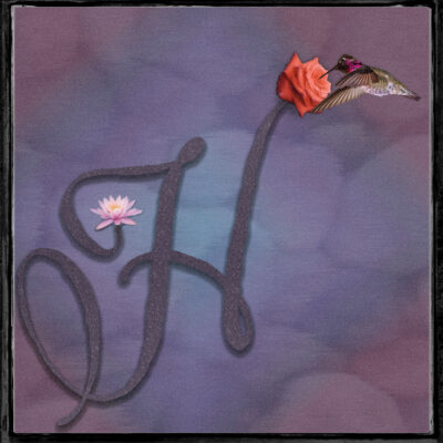 H Is for Hummingbird by John Schultz