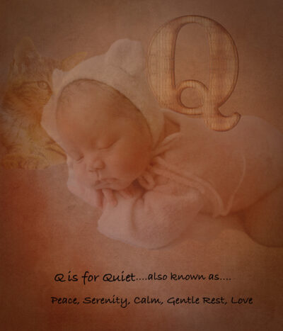 Q Is for Quiet by Lynn McNeill
