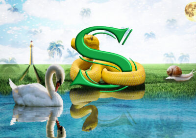 S Is for Snake, Swan, Etc by David S