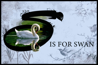 S Is for Swan by Prue Wright