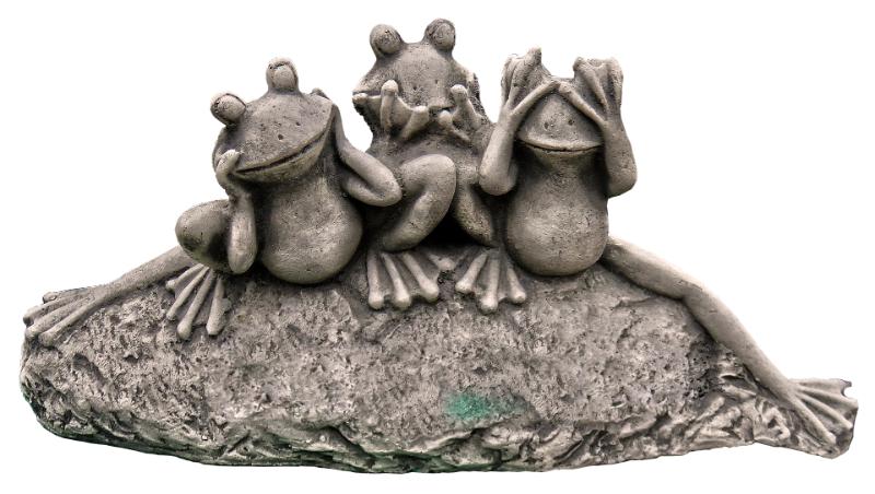 anaterate-frog-3123990_1920