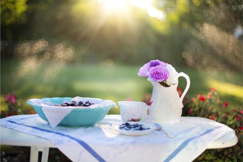 jillwellington-blueberry-1576407_1920