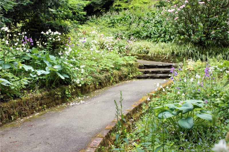 jjekafluf-garden-2569960