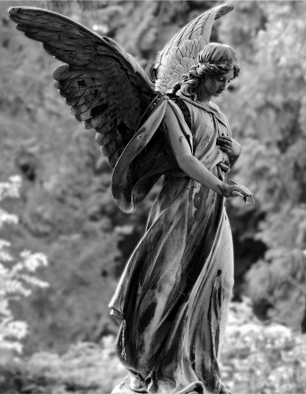 noname_13-angel-2403401_1920