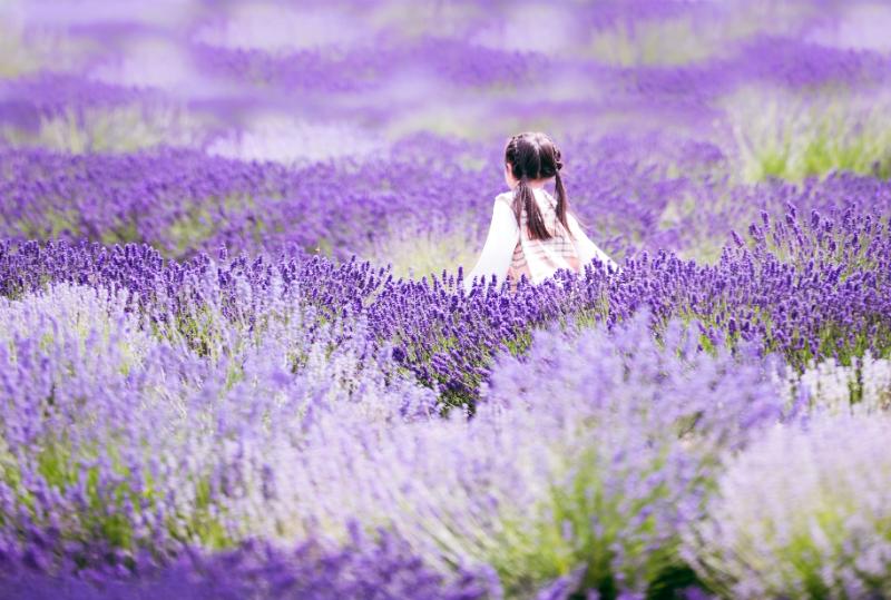 stills_by_suki-girl-8402582